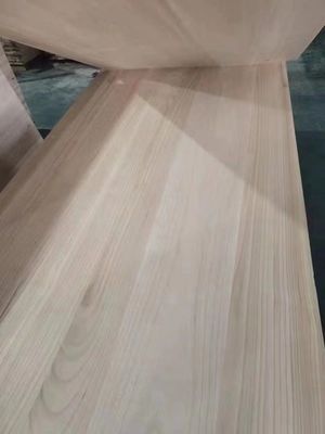 Экологически чистый паулоwnia плотное дерево панель дерева для современного дизайна