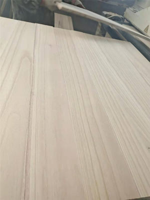 Экологически чистый паулоwnia плотное дерево панель дерева для современного дизайна