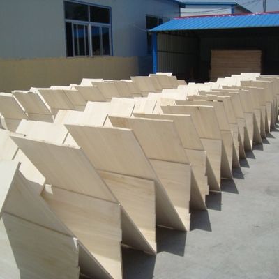 Экологически чистый паулоwnia плотное дерево панель дерева для современного дизайна