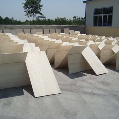 Экологически чистый паулоwnia плотное дерево панель дерева для современного дизайна